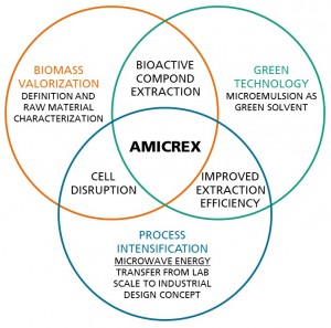 AMICREX combines different technologies.(Click to enlarge.)